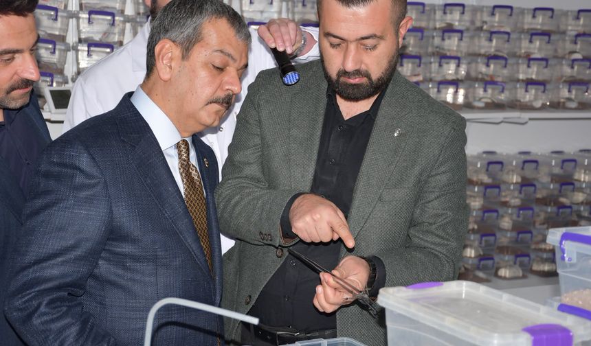 Elazığ’da Akrep Zehri Üretimi Dikkat Çekiyor