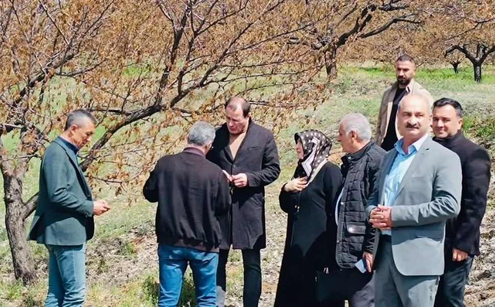 Baskil’de Dondan Etkilenen Meyve Bahçelerinde İnceleme