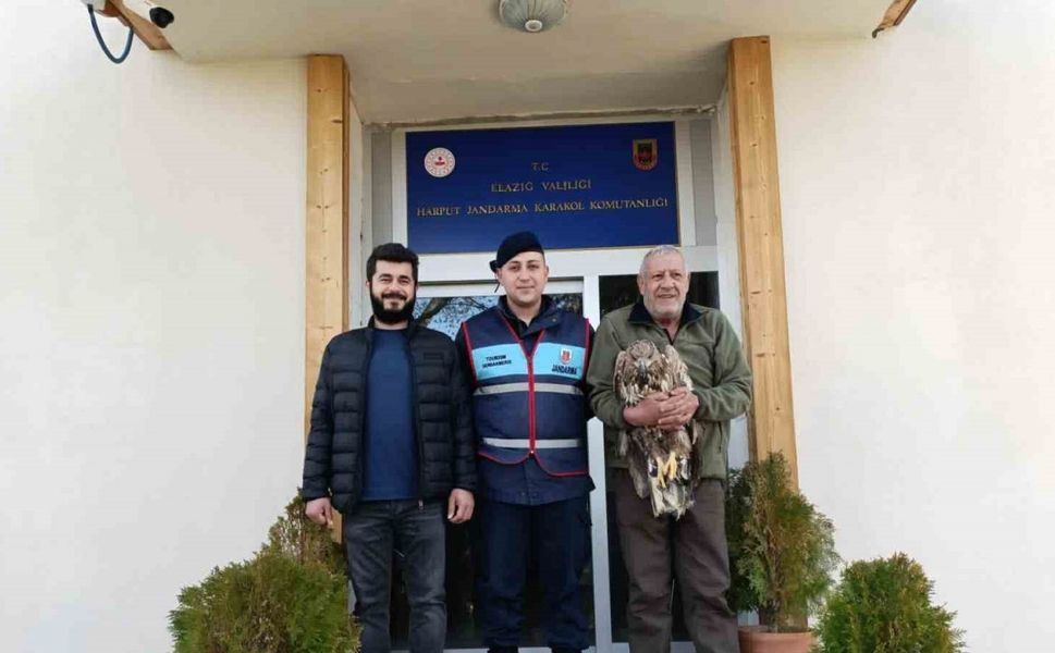 Yaralı Kaya Kartalına Jandarma Şefkati