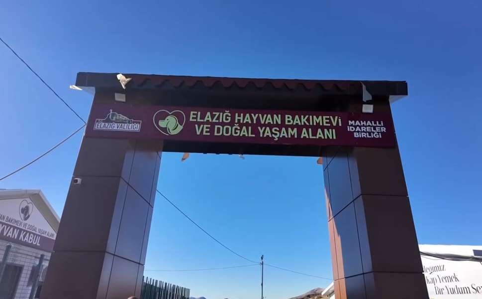 Vali Hatipoğlu’ndan Kovancılar’daki Sokak Hayvanları Yaşam Alanına İnceleme