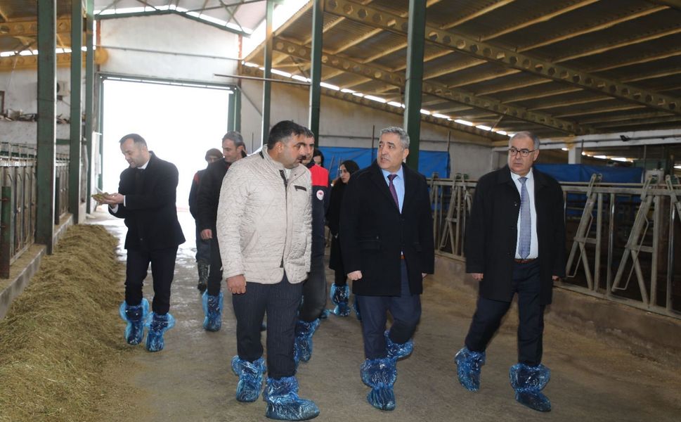Elazığ'da Hayvancılık Altyapısı Yerinde İncelendi