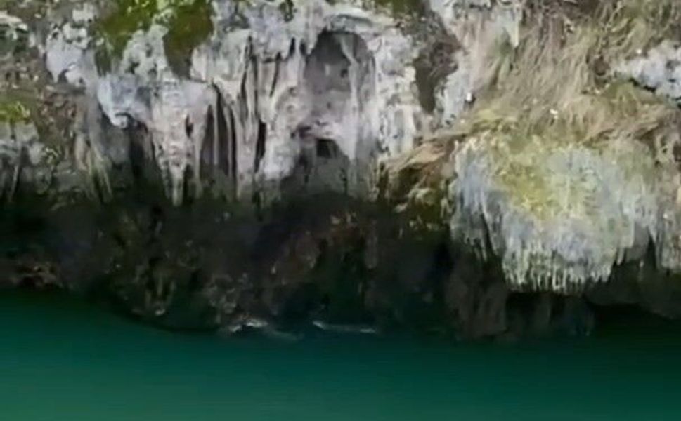 Karakoçan'da Su Samurları Görüntülendi