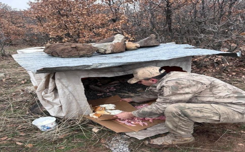 Köy Yoluna Bırakılan Yavru Köpeklere Jandarmandan Şefkat Eli