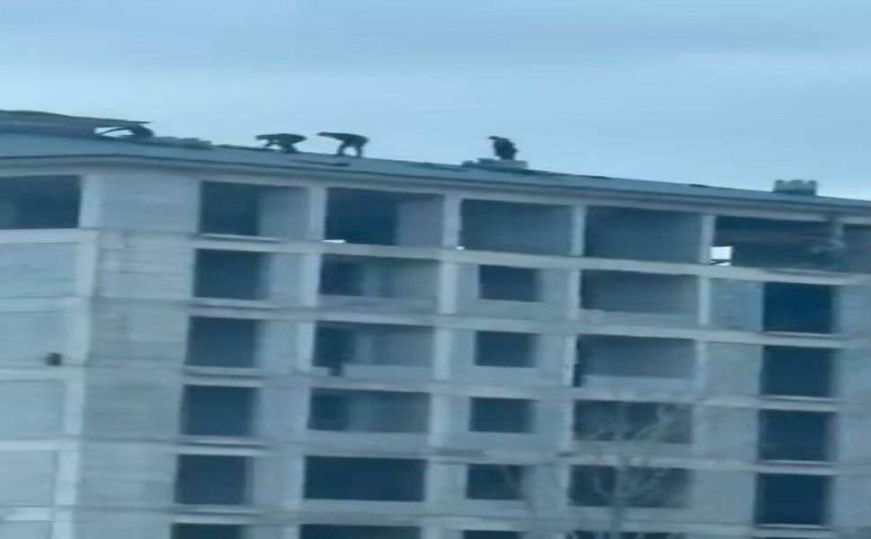 Elazığ'da İnşaat İşçilerinin Tehlikeli Çalışması Kamerada