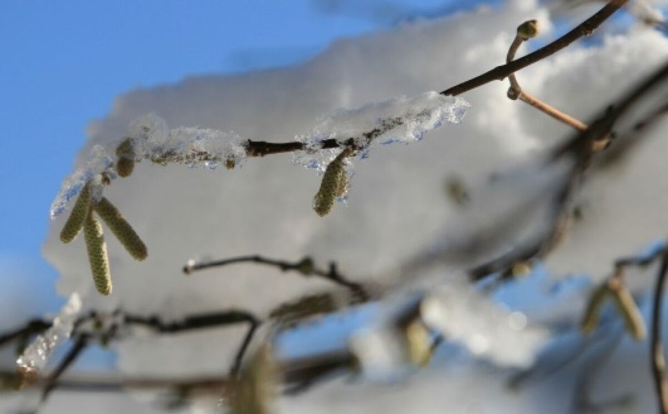 Meteoroloji’den Elazığ İçin Buzlanma ve Don Uyarısı