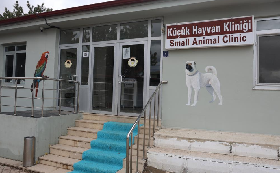 Cumhuriyet Tarihinin İlk Fakültesine Ait Hastanede, Bir Yılda 9 Bin 600 Hayvan Şifa Buldu