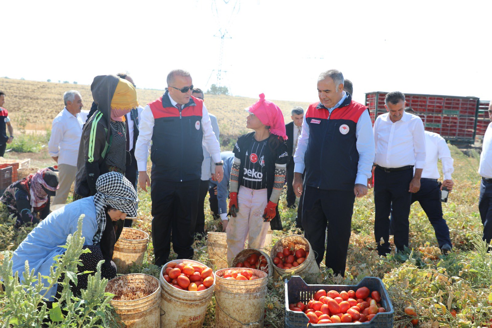 G W48O B U A A Q Yve