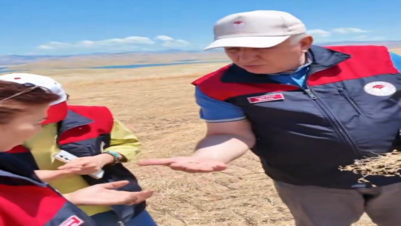Final Image 2026 07 10T112614.471